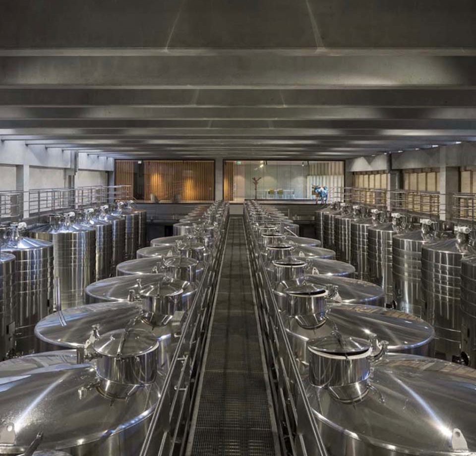 Alienor Ingénierie Vinicole | Savoir-faire